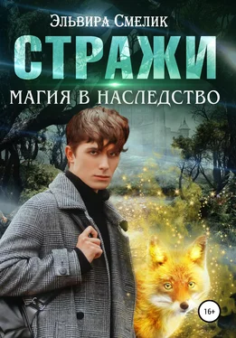 Эльвира Смелик Магия в наследство обложка книги