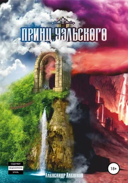 Александр Алешков Принц Уэльского обложка книги