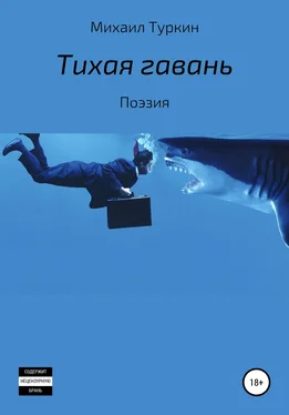 Михаил Туркин Тихая гавань обложка книги