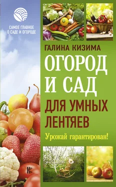 Галина Кизима Огород и сад для умных лентяев. Урожай гарантирован! обложка книги