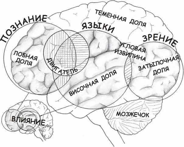 Рисунок 1 Прожектора внимания Теперь давайте подробнее рассмотрим что - фото 2