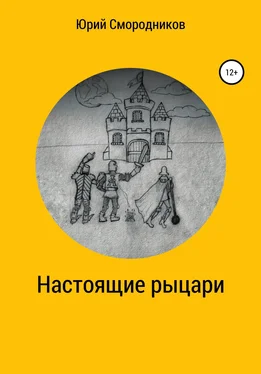 Юрий Смородников Настоящие рыцари обложка книги