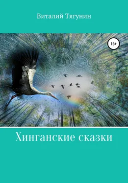 Виталий Тягунин Хинганские сказки обложка книги