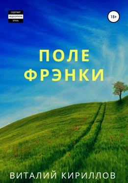 Виталий Кириллов Поле Фрэнки обложка книги