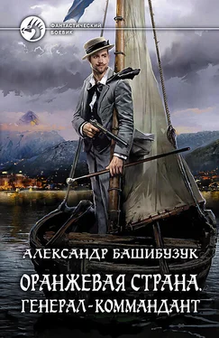 Александр Башибузук Оранжевая страна. Генерал-коммандант обложка книги