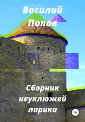 Василий Попов - Сборник неуклюжей лирики
