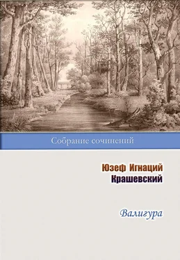 Юзеф Игнаций Крашевский Валигура обложка книги