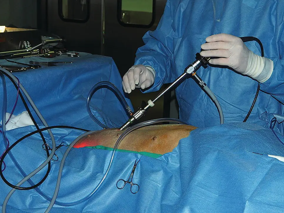Figure 25 An endoscopic video camera head attached securely to a 10 mm - фото 24