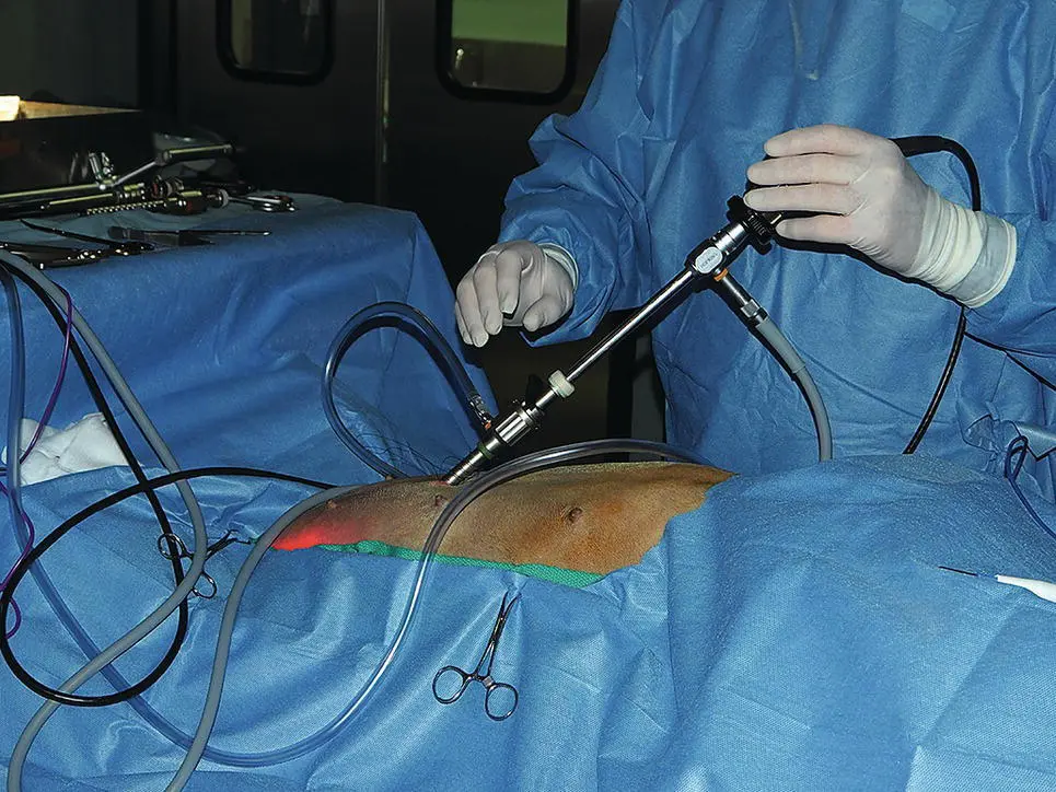 Figure 111 An endoscopy video camera head coupled to a 10 mm diameter - фото 16
