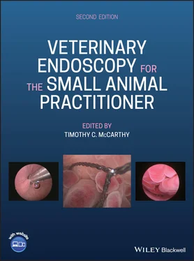 Неизвестный Автор Veterinary Endoscopy for the Small Animal Practitioner обложка книги