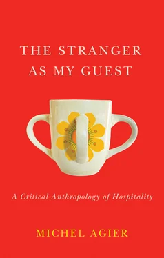 Michel Agier The Stranger as My Guest обложка книги