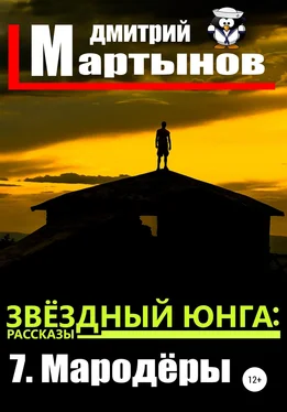 Дмитрий Мартынов Звёздный юнга: 7. Мародёры обложка книги