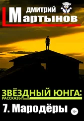 Дмитрий Мартынов - Звёздный юнга - 7. Мародёры