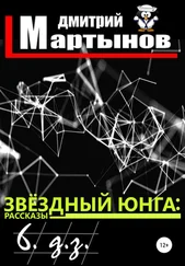 Дмитрий Мартынов - Звёздный юнга - 6. д.з.