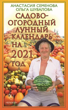 Ольга Шувалова Садово-огородный лунный календарь на 2021 год обложка книги