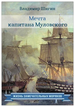 Владимир Шигин Мечта капитана Муловского обложка книги