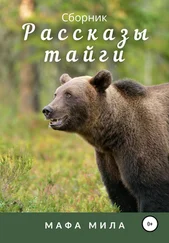 Мафа Мила - Рассказы тайги. Сборник