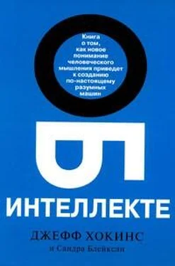 Сандра Блейксли Об интеллекте обложка книги