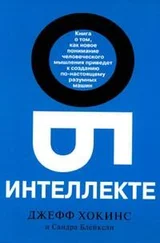 Сандра Блейксли - Об интеллекте
