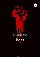 Илья Объедков - Воля
