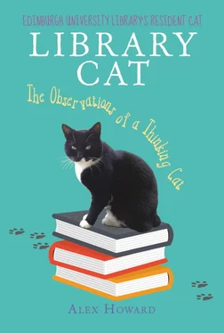 Alex Howard Library Cat обложка книги