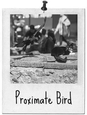 in which our hero reasons with a raven Still extradited from the library some - фото 47