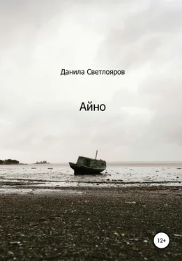 Данила Светлояров Айно обложка книги