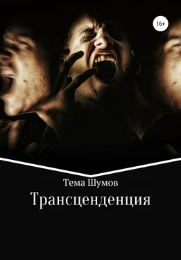 Тёма Шумов Трансценденция обложка книги