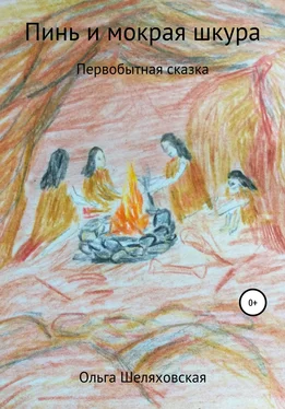 Ольга Шеляховская Пинь и мокрая шкура обложка книги