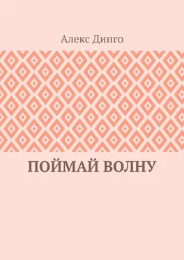 Алекс Динго Поймай волну обложка книги