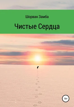 Замба Шорван Чистые сердца обложка книги