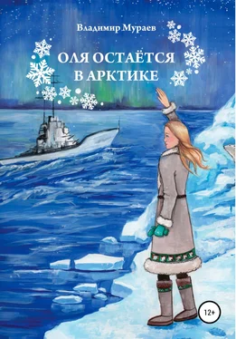 Владимир Мураев Оля остается в Арктике обложка книги