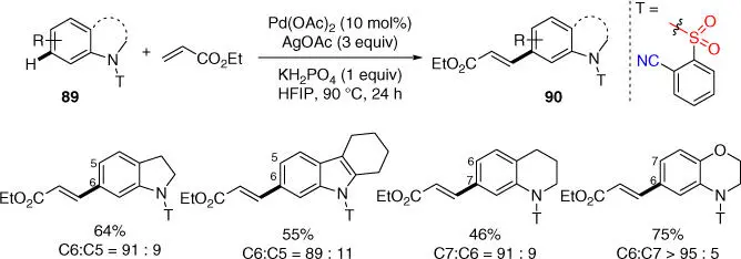 Scheme 232 meta CH olefination of N heterocycles Source Modified from - фото 93
