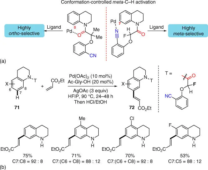Scheme 228a Conformation promoted meta selective activation b meta CH - фото 89