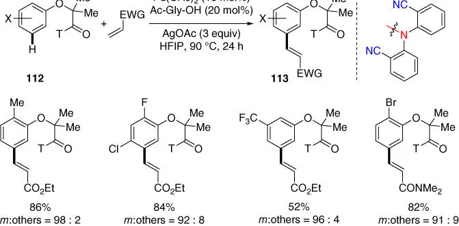 Scheme 246 meta CH olefination of phenol derivatives Later in 2017 Zhou - фото 109