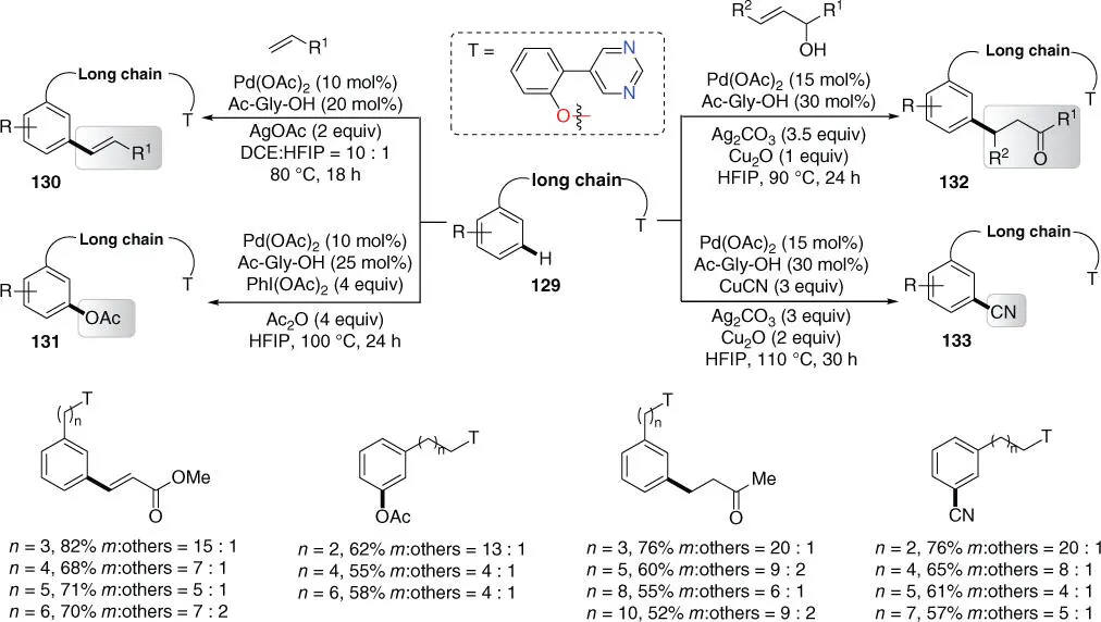 Scheme 255 meta CH functionalizations of arenes with different linker - фото 121