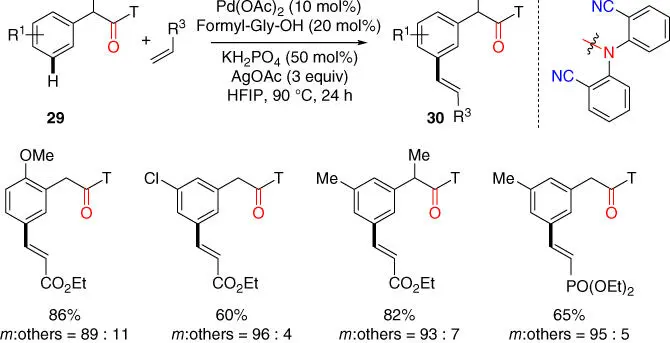 Scheme 211 meta CH olefination of phenylacetic acid derivatives Source - фото 68