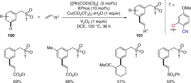 Scheme 239Rhcatalyzed meta CH olefination of benzylsulfonyl esters Source - фото 100