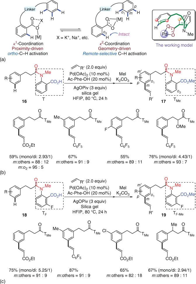 Scheme 26a Proposed remoteselective CH activation via κ2 coordination of - фото 62