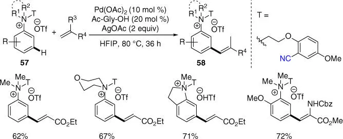 Scheme 222 meta CH olefination of tertiary anilines Besides meta selective - фото 80