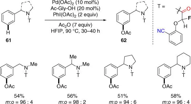 Scheme 224 meta CH acetoxylation of benzylamine derivatives Source - фото 82