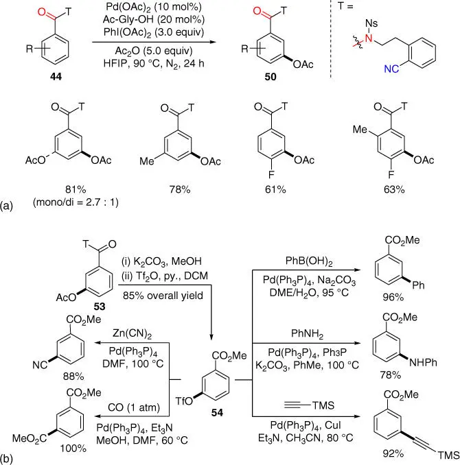Scheme 218a meta CH acetoxylation of benzoic acids b Elaboration of - фото 76