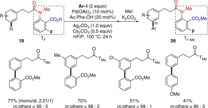 Scheme 29 meta CH arylation of hydrocinnamic acids with aryl iodides - фото 66