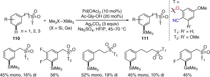 Scheme 245 meta CH silylation and germanylation Source Modified from Modak - фото 108