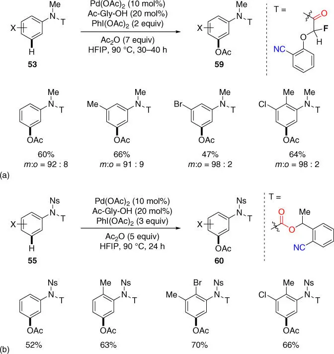 Scheme 223a meta CH acetoxylation of aniline amides b meta CH - фото 81