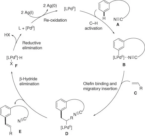 Scheme 265Proposed catalytic cycle for meta CH olefination Scheme - фото 132