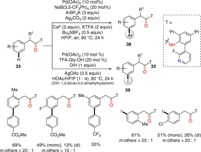 Scheme 215Pyridinebased template assisted meta CH arylation and iodination - фото 73