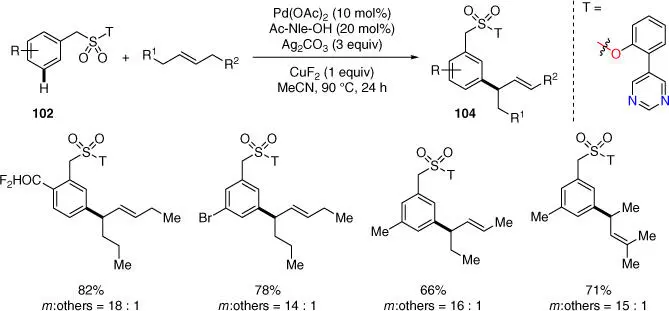 Scheme 241 meta CH allylation of benzylsulfonyl esters Source Modified - фото 102