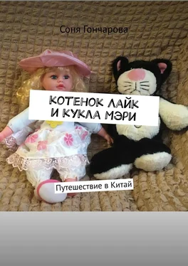 Соня Гончарова Котенок Лайк и кукла Мэри. Путешествие в Китай обложка книги