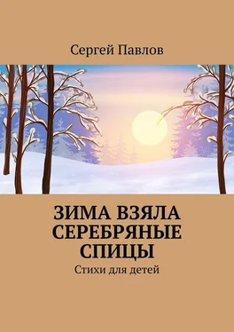 Сергей Павлов Зима взяла серебряные спицы. Стихи для детей обложка книги